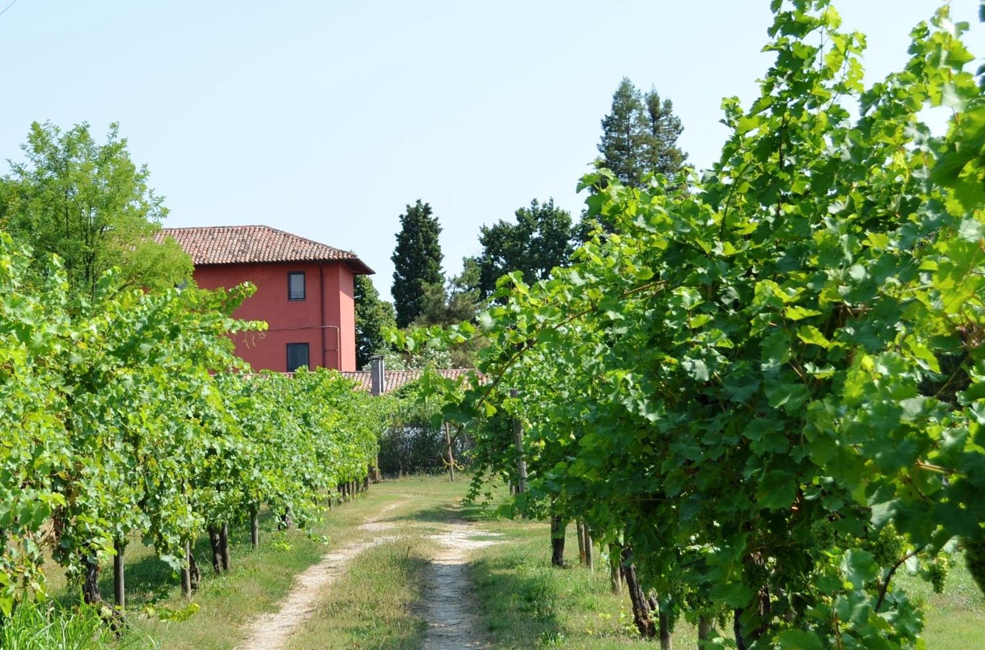 Agriturismo Isola Augusta Palazzolo dello Stella Εξωτερικό φωτογραφία